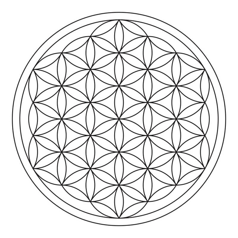 Minimal Flower of Life