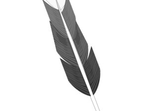 Blue Heron Spiritual Meaning & Symbolism: Complete Guide