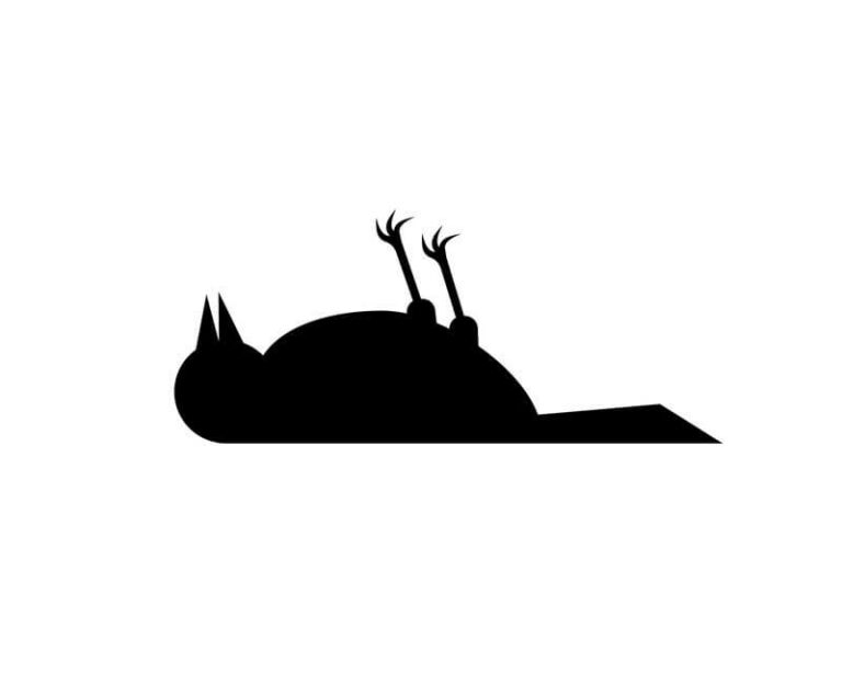 dead bird in front of your house meaning