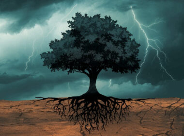 Signs of a narcissistic family tree
